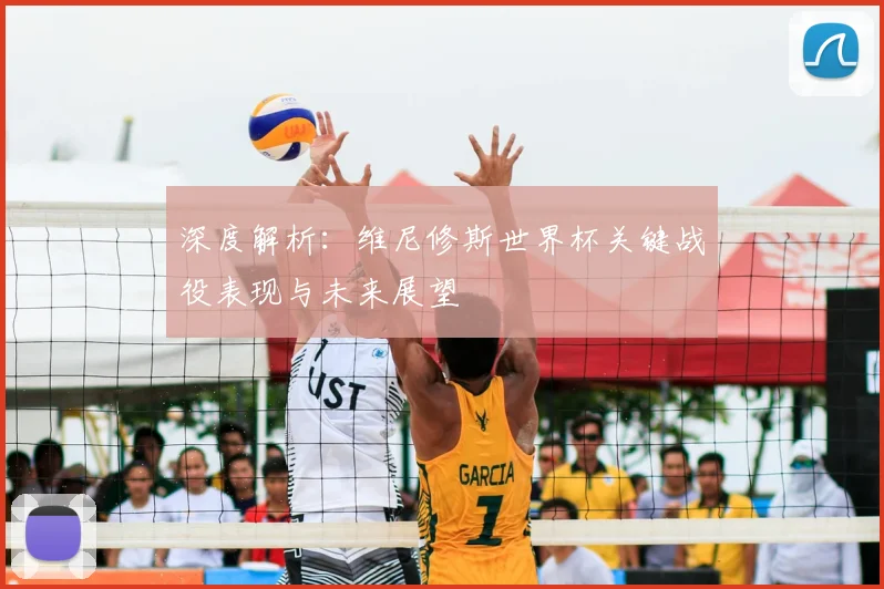 深度解析：维尼修斯世界杯关键战役表现与未来展望