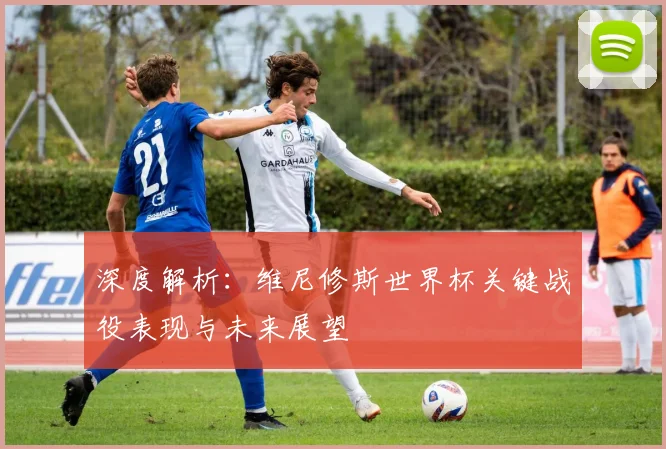 深度解析：维尼修斯世界杯关键战役表现与未来展望